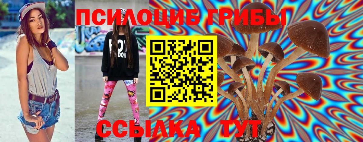 Галлюциногенные грибы GOLDEN TEACHER  Галлюциногенные грибы Magic Shrooms  Вход с VPN  Усть-Илимск 